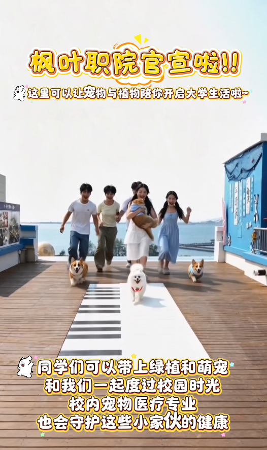 校园风光